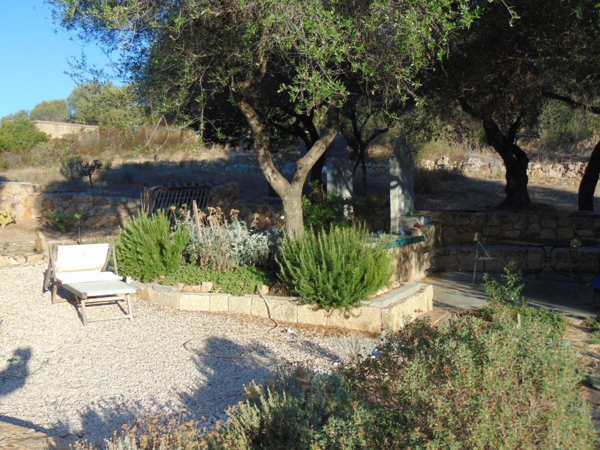Villa Smeralda オルビア エクステリア 写真