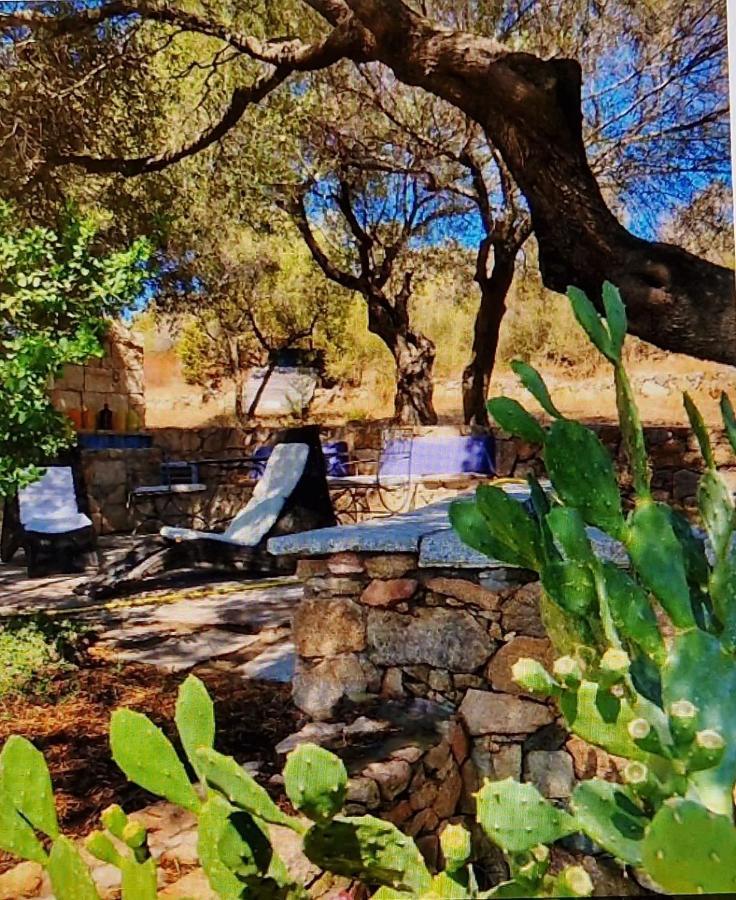 Villa Smeralda オルビア エクステリア 写真